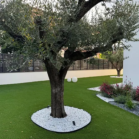 Room47 3* ألبا أدرياتيكا